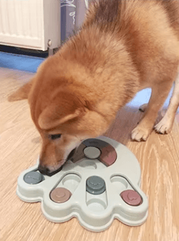 Interactive Feeder for Big Dogs – Mental Challenge, Healthy Eating