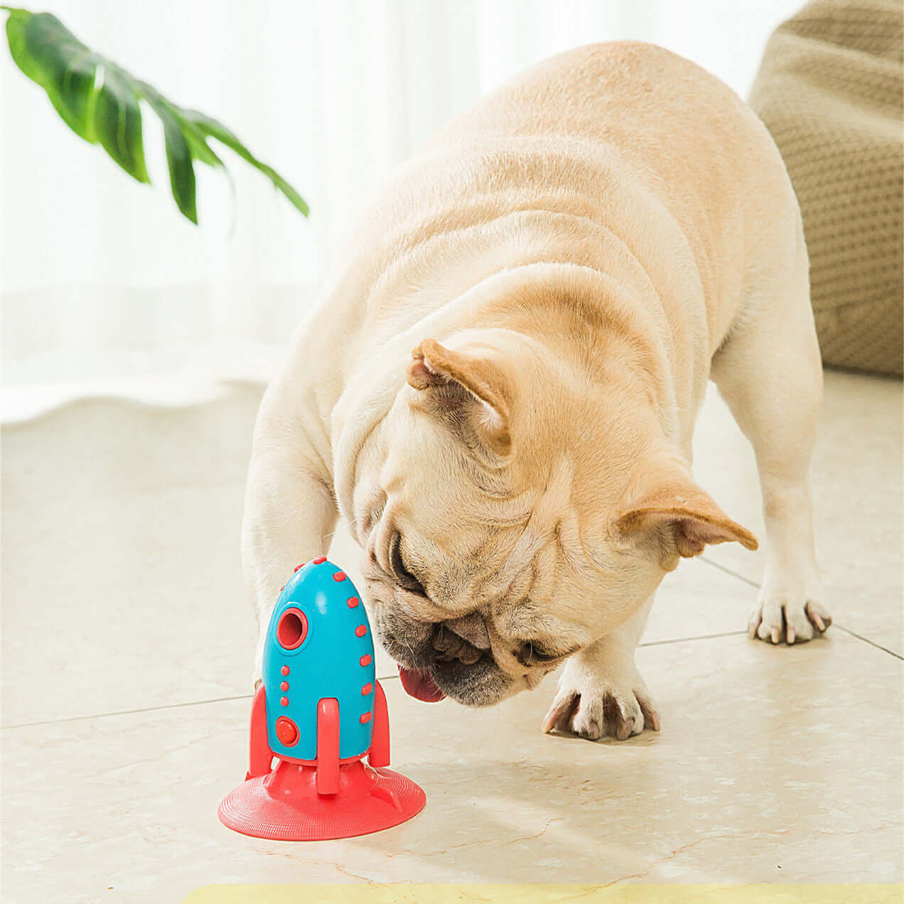 Rocket Dog Toy – Fun, Stimulation, and Durability
