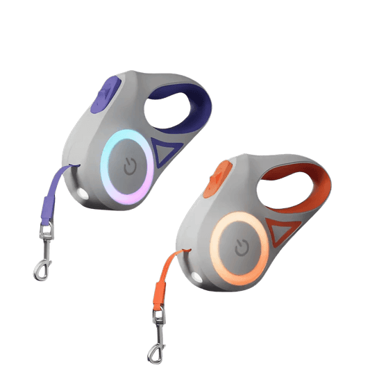 66fb5aac-043d-430d-b0ed-24779d6c54e0