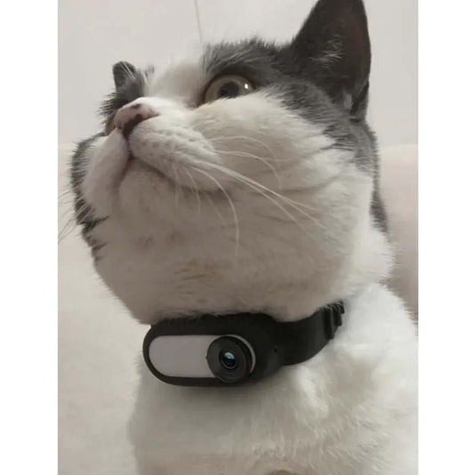 Pet Collar Camera