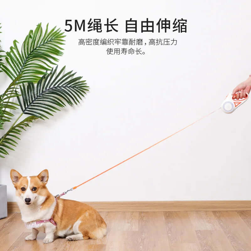 Scb1e2983d91e40d9b87c8a28cf44681dp